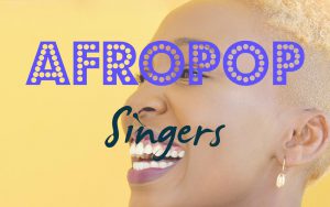 afro-pop-singers-songwriters
