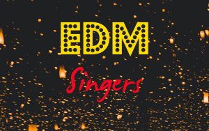 edm-singers-songwriters